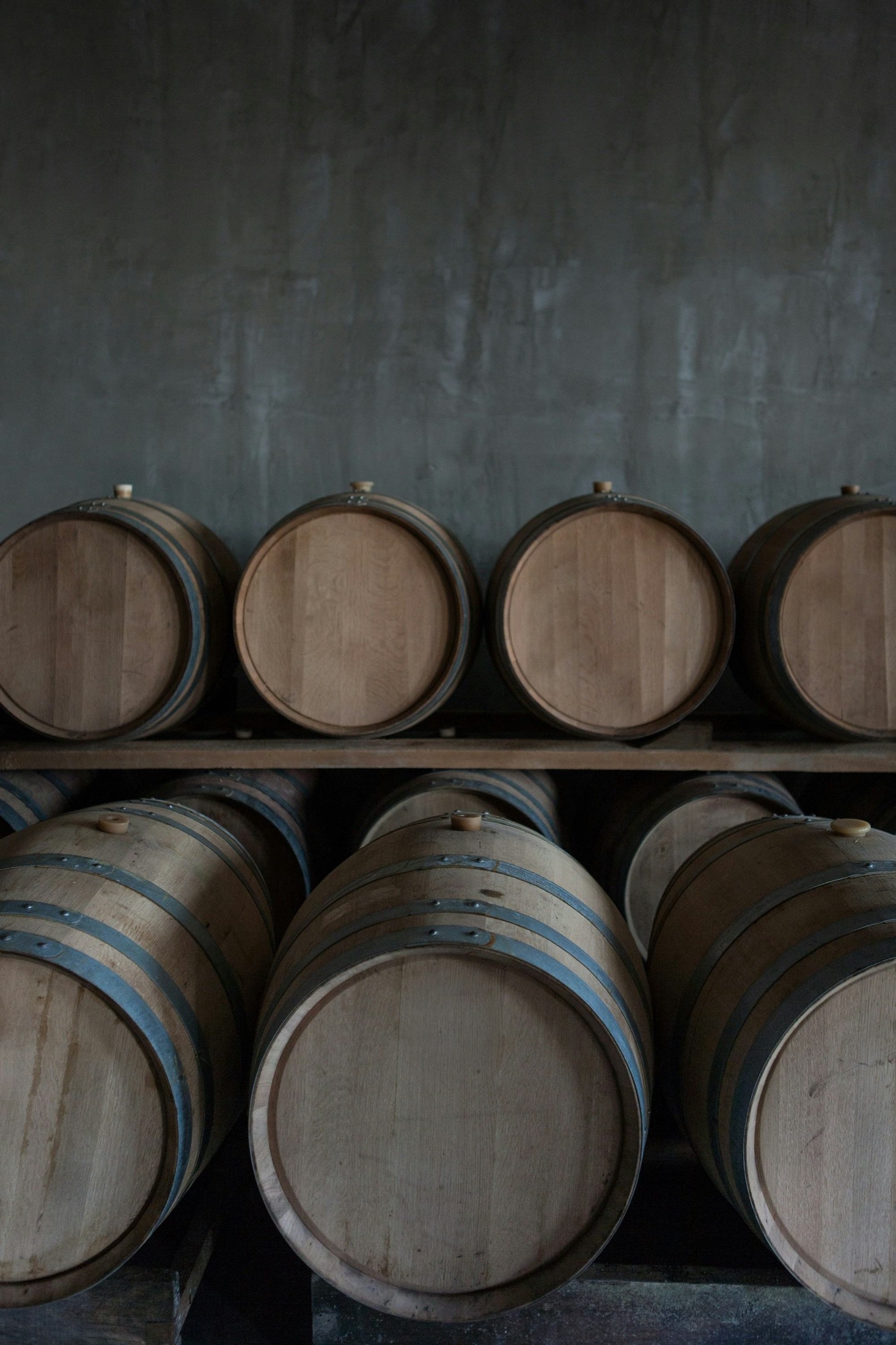 Oak wine barrels